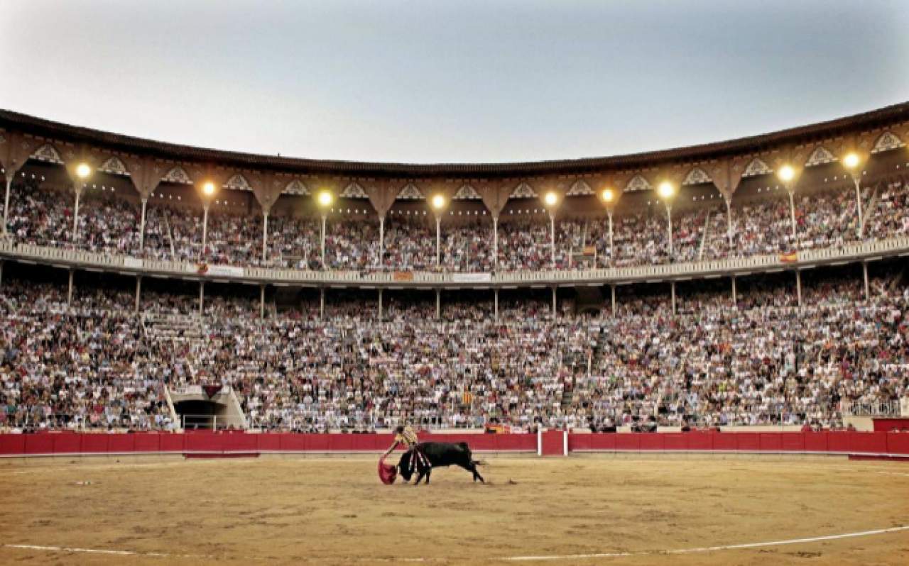 Cabeza de toro para colgar artesanal de Ambients Grup