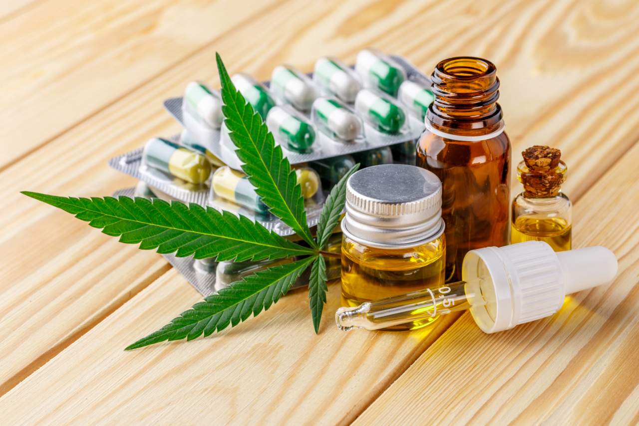 La campaña de micromecenazgo le hace ganar popularidad a Indica Sur SL