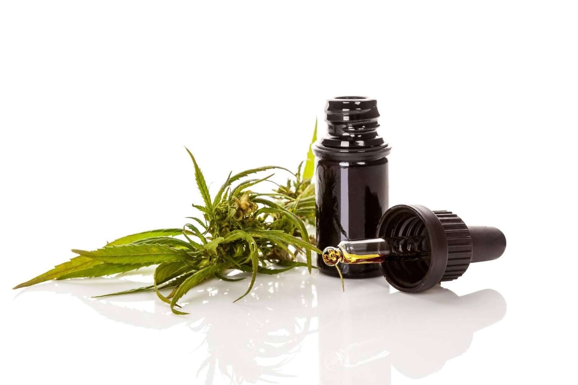 ¿Cómo puede el aceite CBD mejorar molestias musculares?, según Legalhemp Biocosmetic