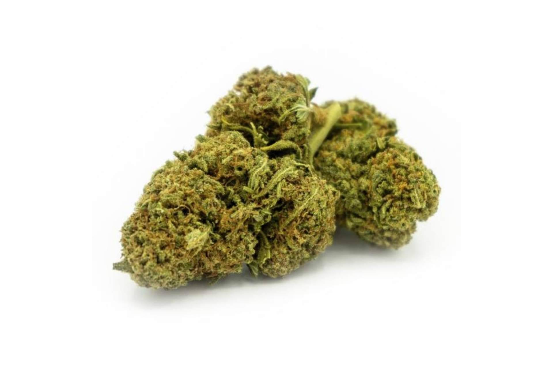 La Mal Querida: ¿Qué dice el aspecto legal del CBD?