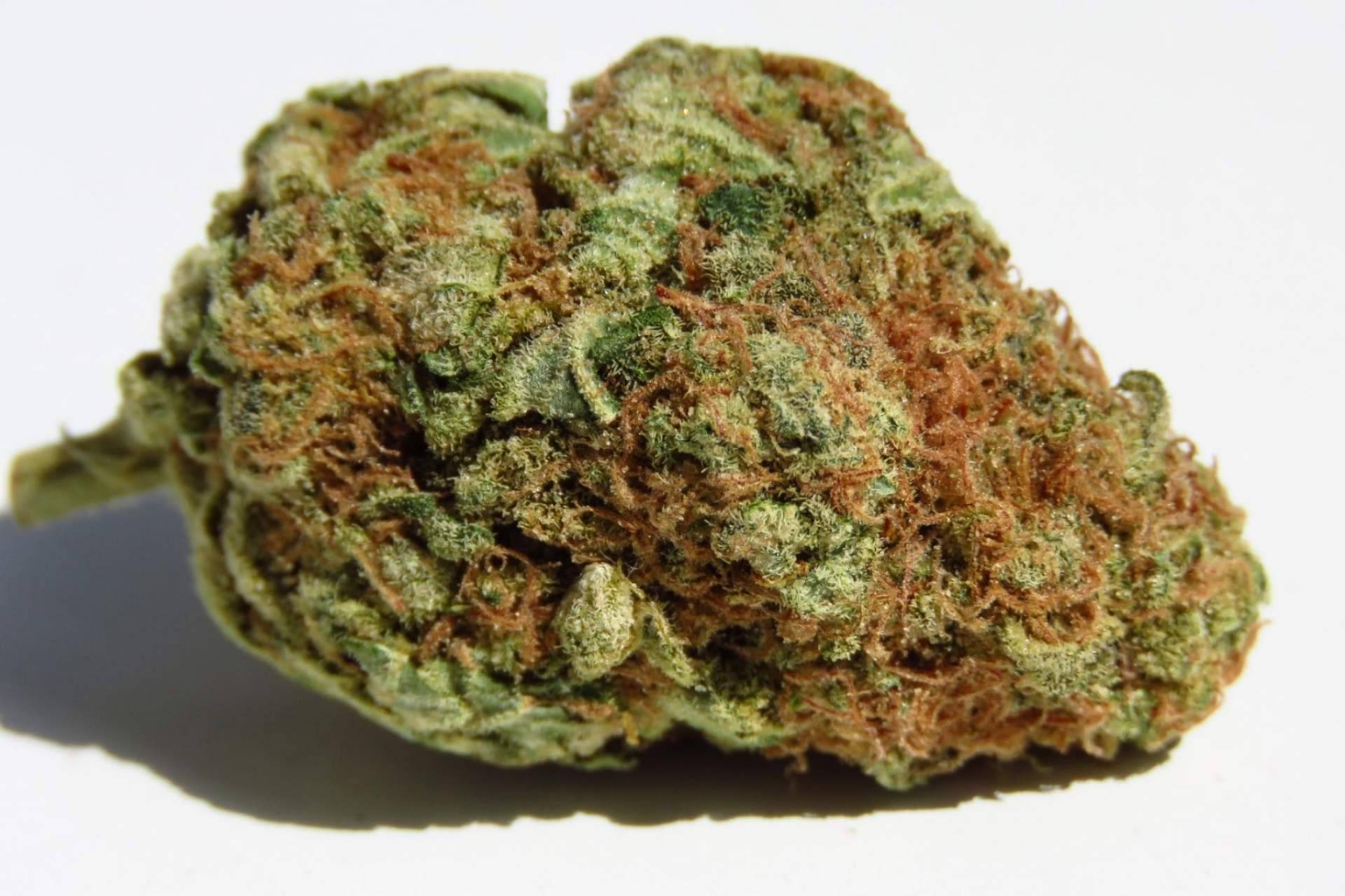 ¿Qué son las flores de cannabidiol?: De Pata Verde