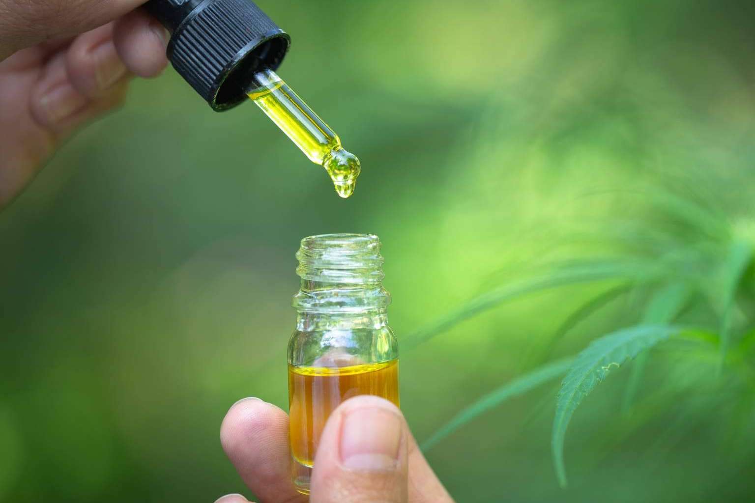 ¿Cuáles son los principales problemas y ventajas del CBD?: Legal Hemp