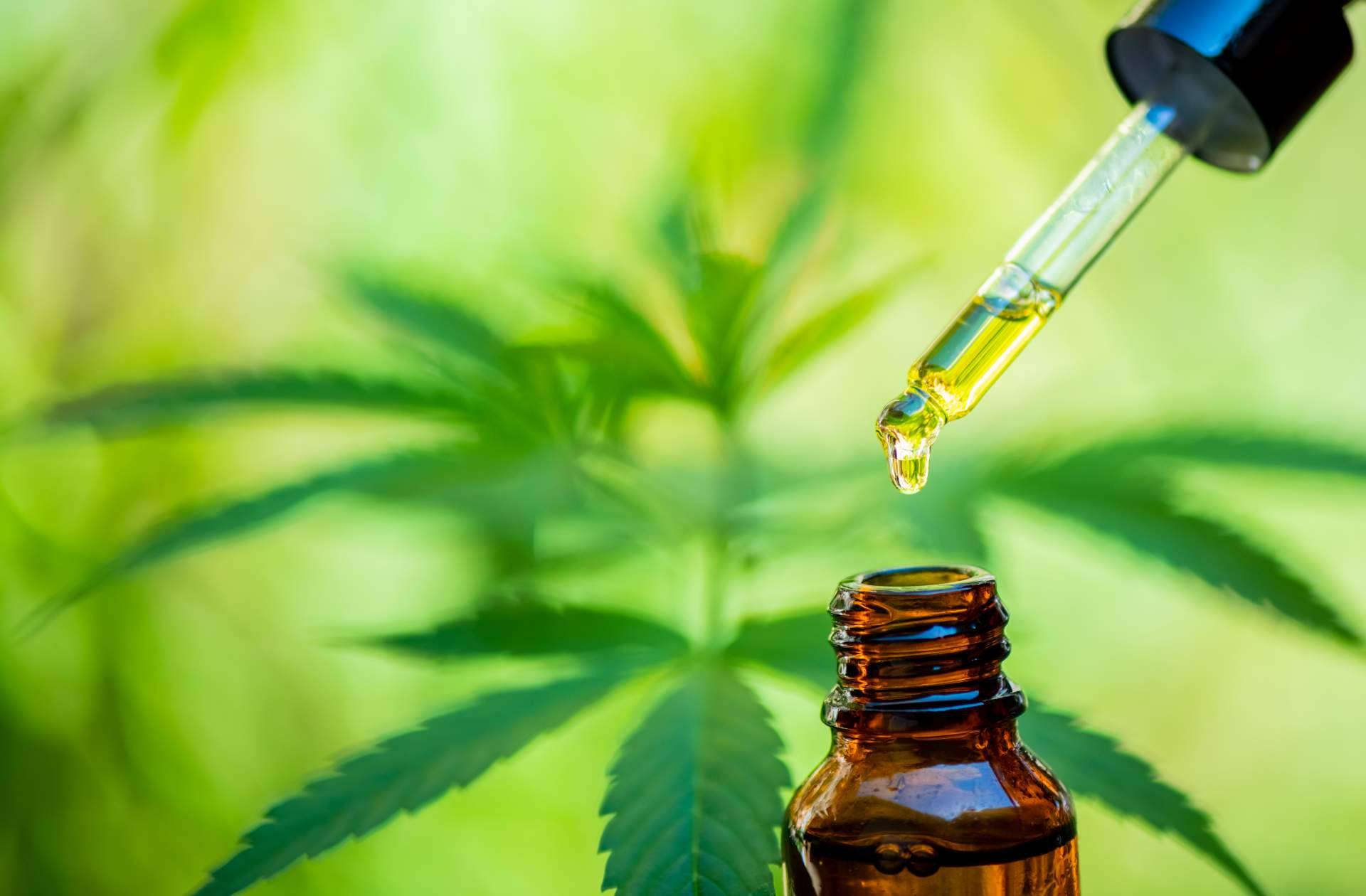 Legal Hemp, aceites de CBD seguros