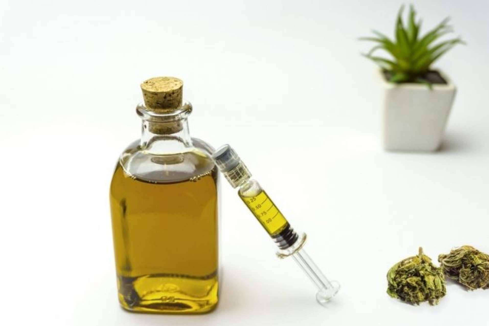 ¿Cuáles son los beneficios de los aceites de CBD?, por CBD Organics