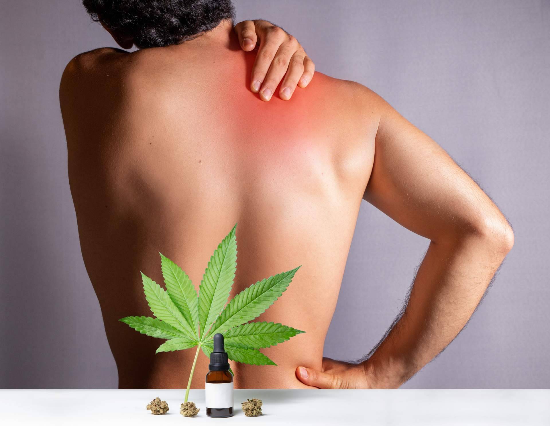 El uso del aceite CBD en fisioterapia, por A tú Vera Oil