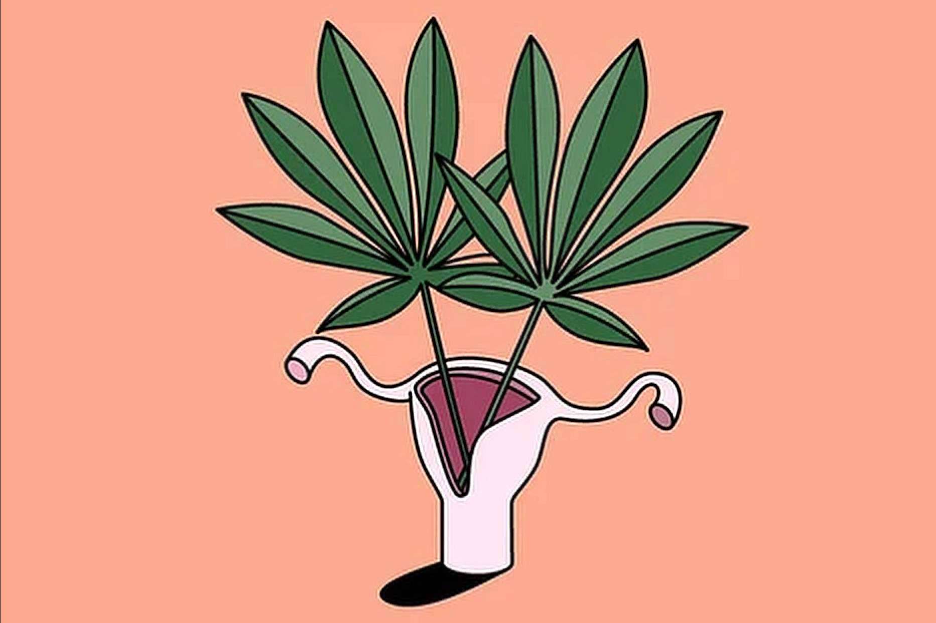 Marca de CBD fundada por una mujer emprendedora para combatir su adicción a los fármacos para dormir, Ezencia