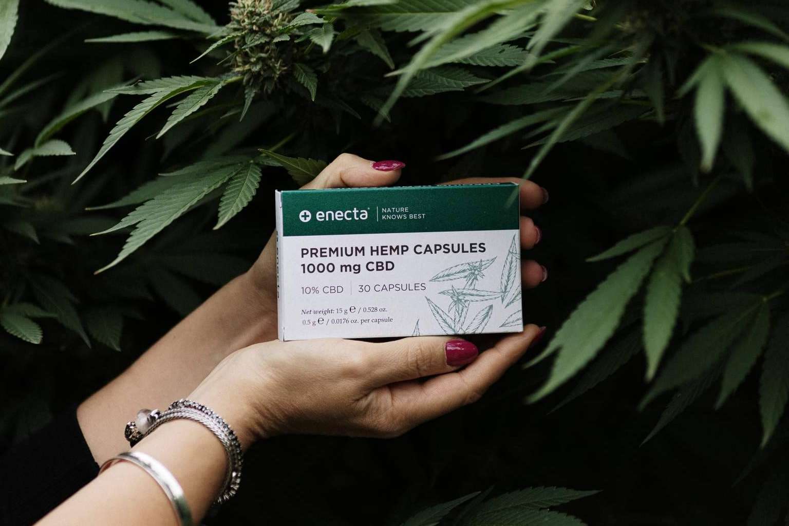 Enecta, todos los beneficios del aceite CBD