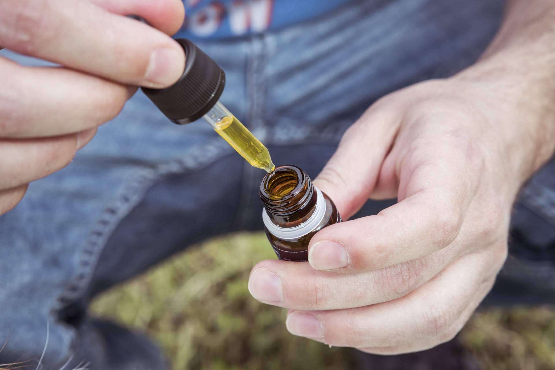 ¿Cuáles son los beneficios CBD en mascotas?, por Enecta
