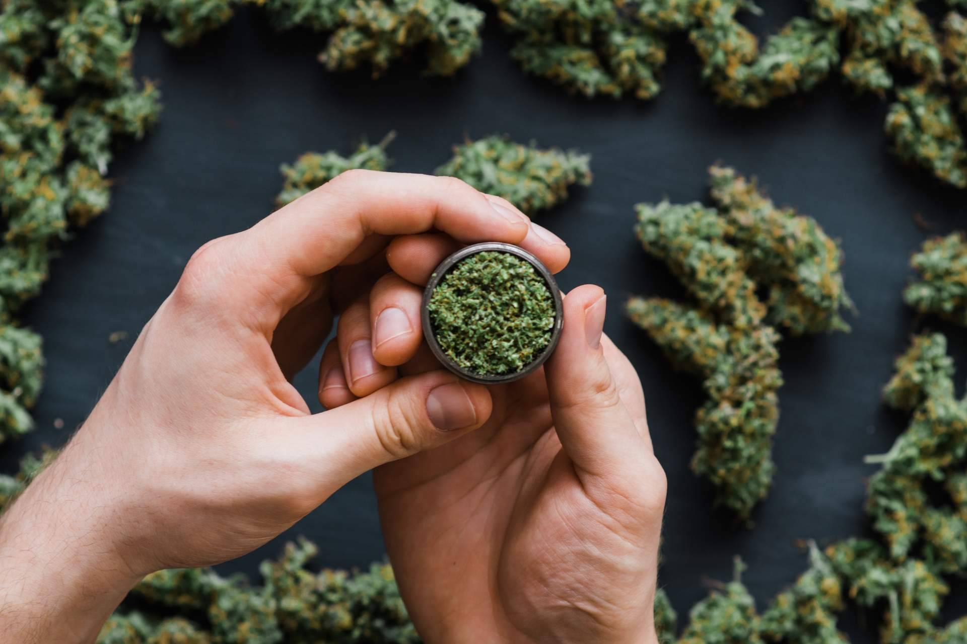 Cannabis Barcelona, una de las guías líderes de clubes de cannabis en Barcelona