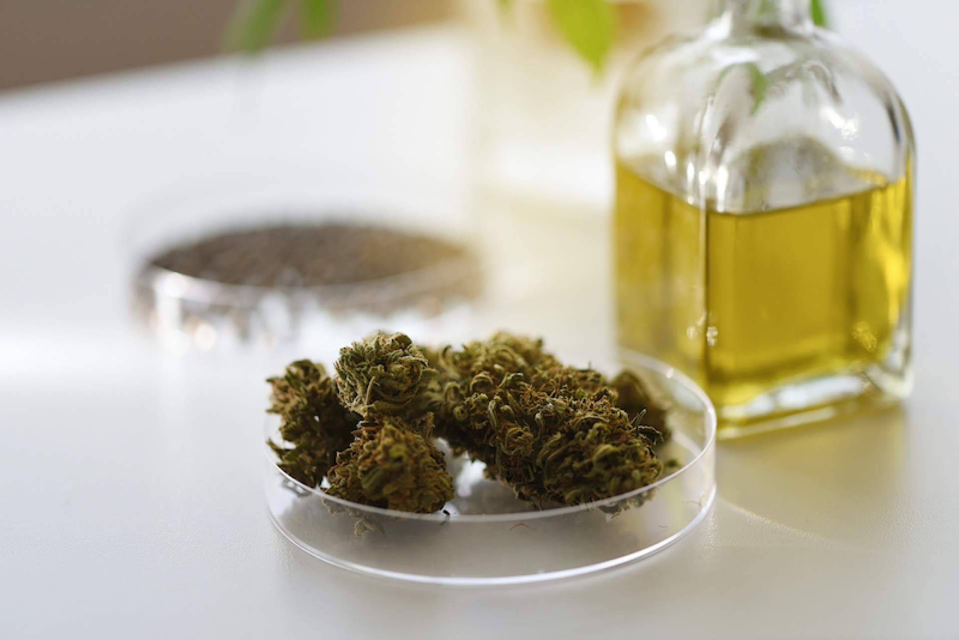 Flower Farm y los productos de CBD que tiene disponibles